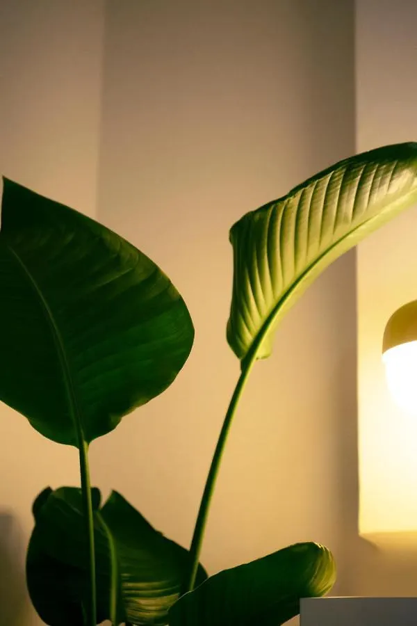 #9 3Mins To Station 1Stop To Shinjuku Stylish Apartment With Plenty Of Sunlight Tokyo