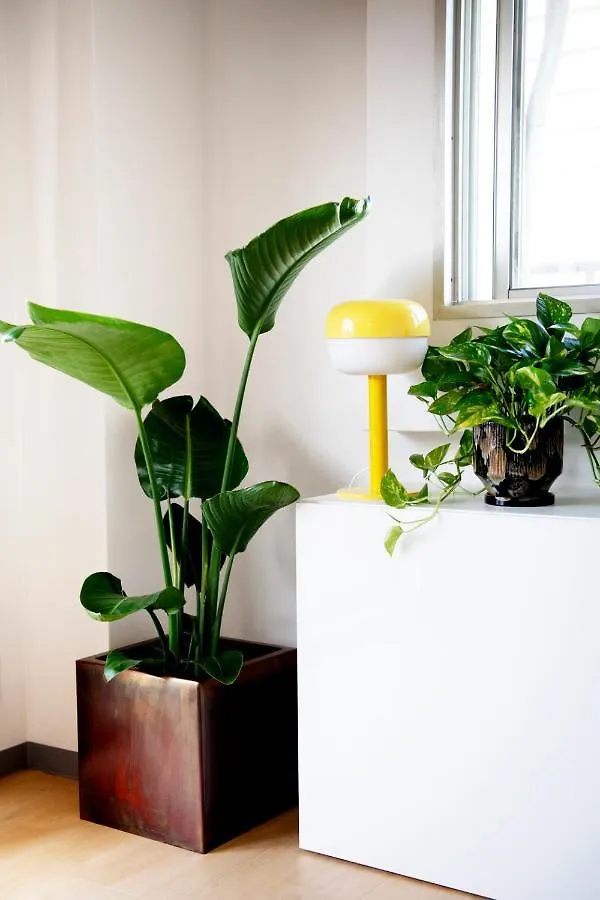 #9 3Mins To Station 1Stop To Shinjuku Stylish Apartment With Plenty Of Sunlight Tokyo 0*,
